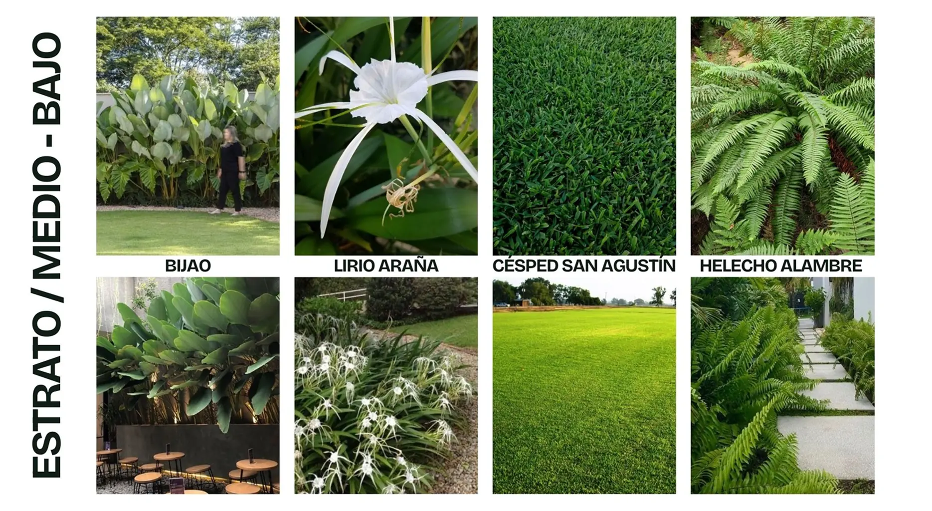 galeria14-proyecto-ubitat-iche