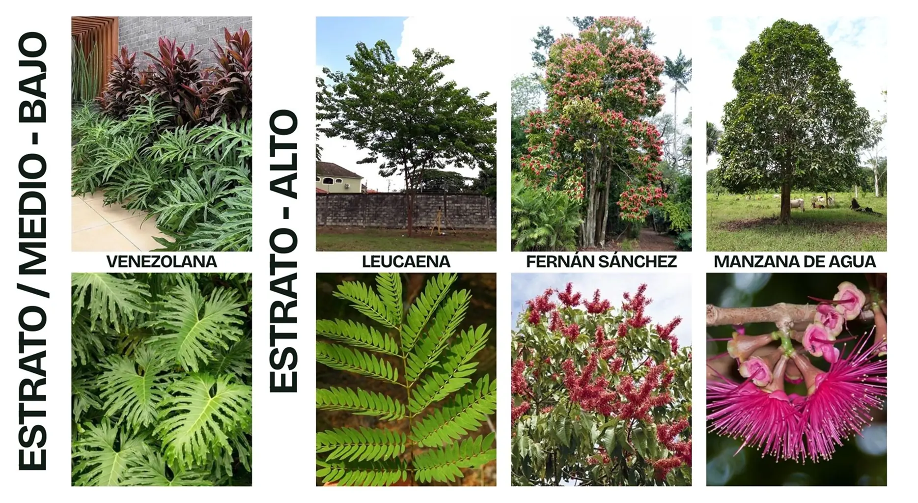 galeria16-proyecto-ubitat-iche