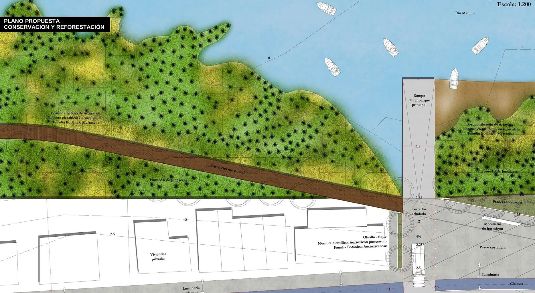 galeria55-restauracion-fluvial-maullin-chile-proyecto-ubitat