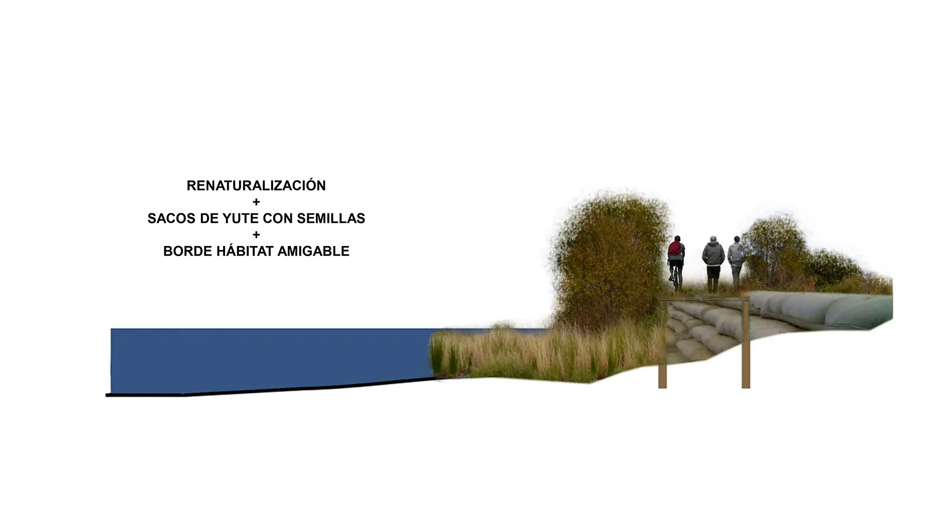 galeria56-restauracion-fluvial-maullin-chile-proyecto-ubitat