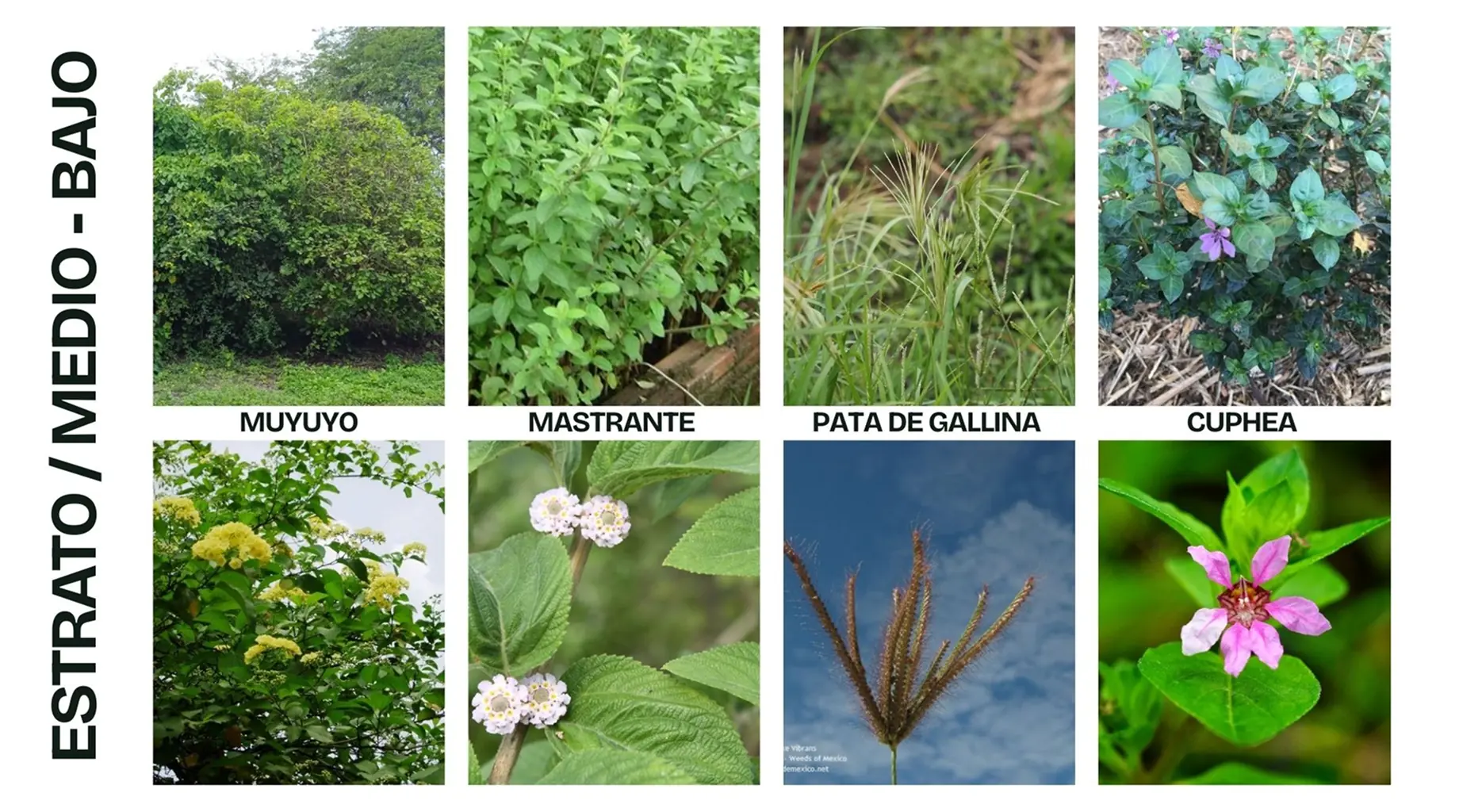 galeria9-proyecto-ubitat-iche