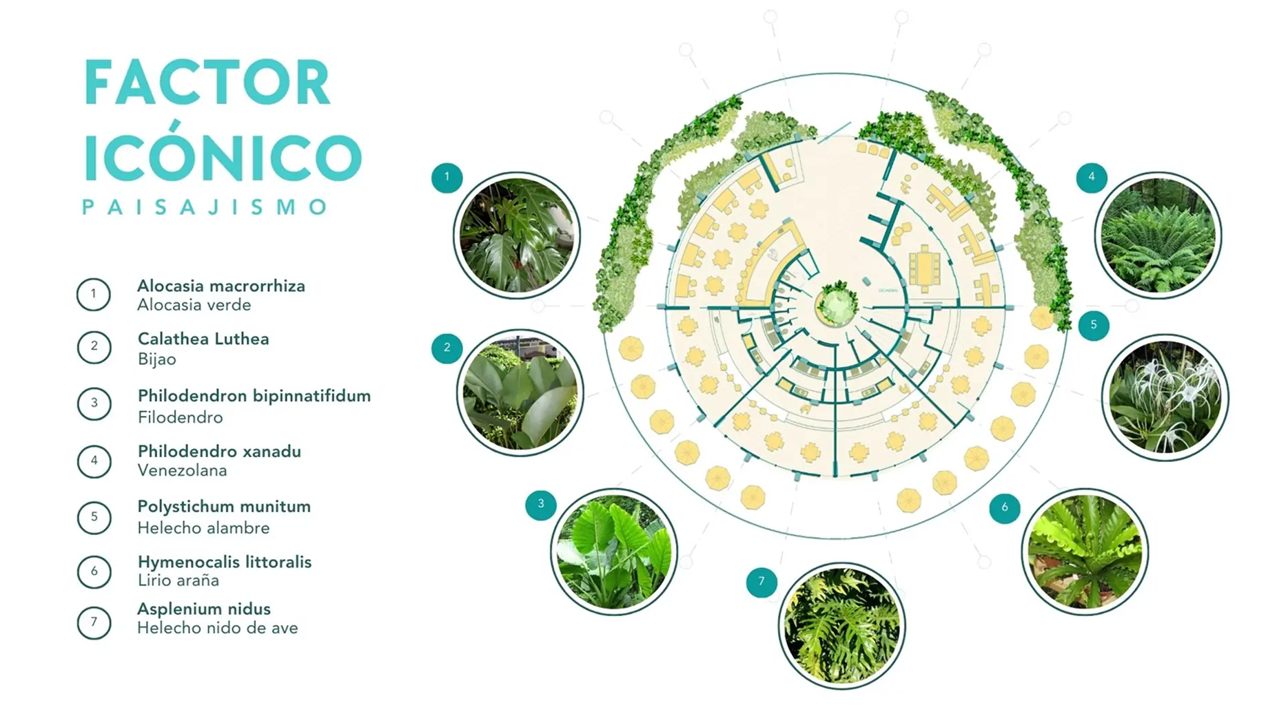 belaro-blog-galeria11