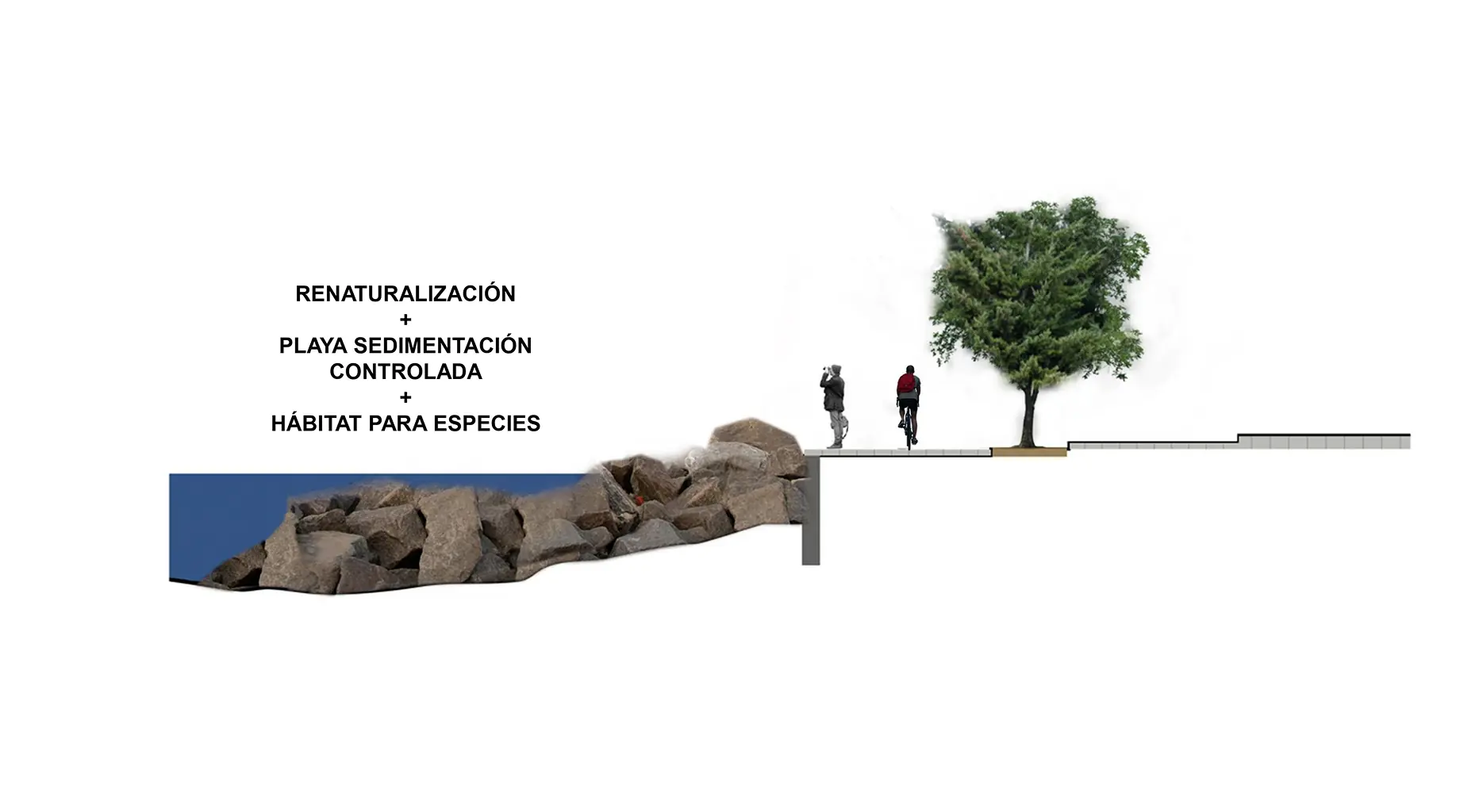 galeria61-restauracion-fluvial-maullin-chile-proyecto-ubitat