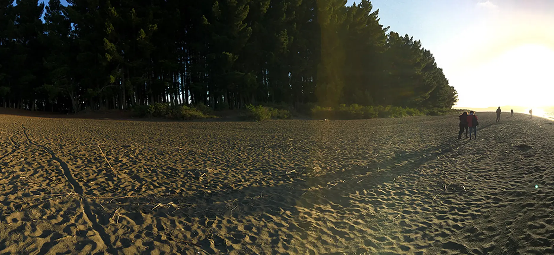 galeria66-restauracion-fluvial-maullin-chile-proyecto-ubitat